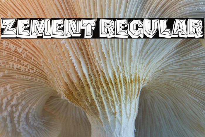 Zement Regular Example 2