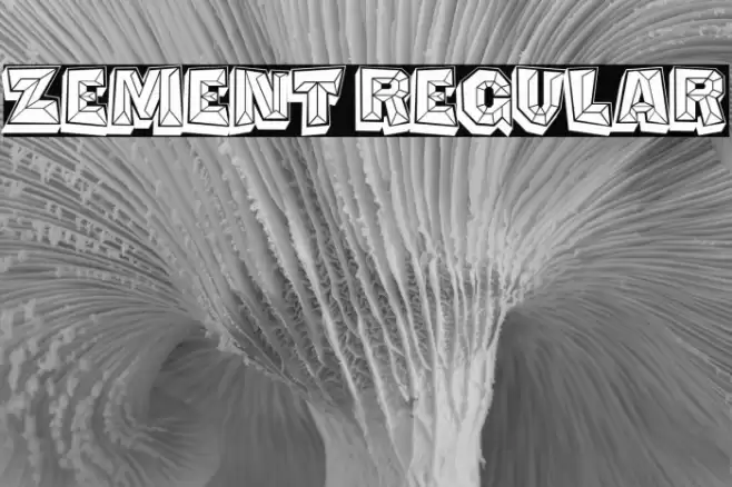 Zement Regular Font examples