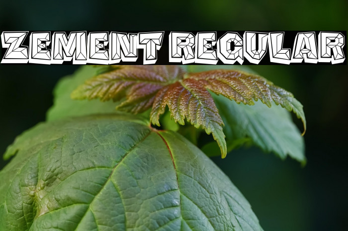 Zement Regular Example 3