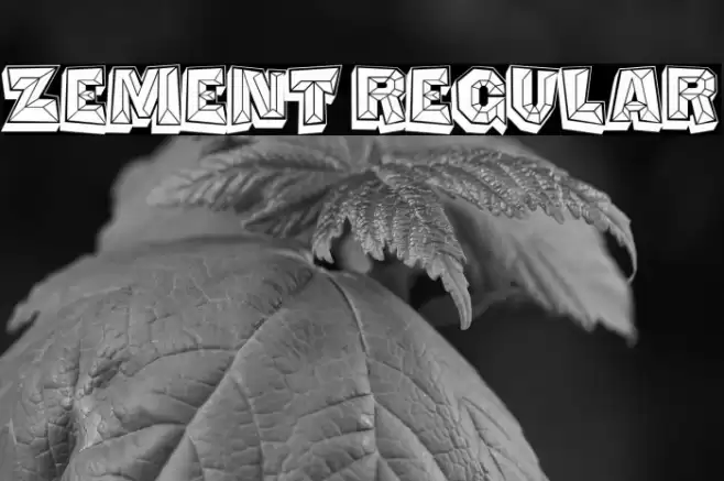 Zement Regular Font examples