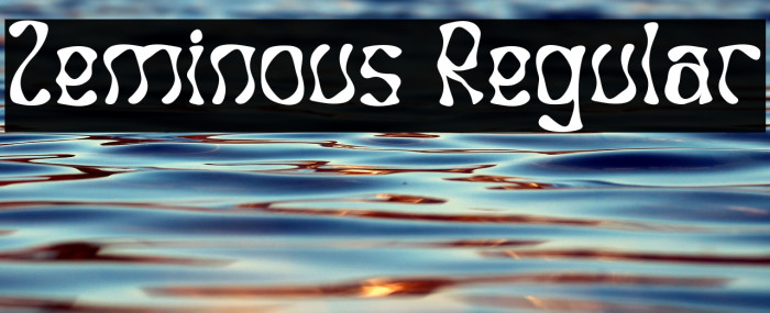 Zeminous Regular Example 2