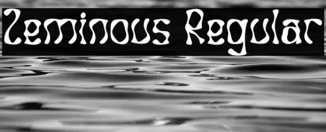 Zeminous Regular Font examples