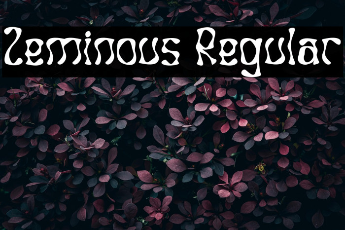 Zeminous Regular Example 3