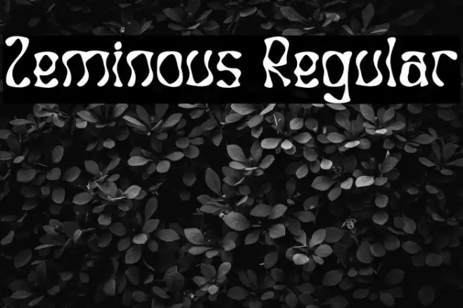 Zeminous Regular Font examples