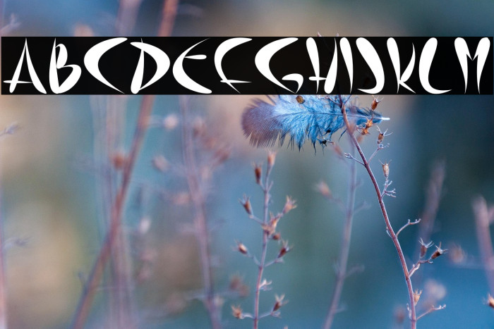 Zen Garden Example 1