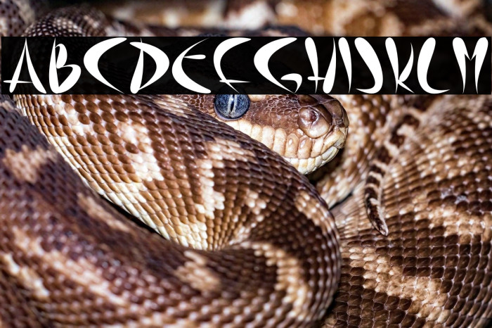 Zen Garden Example 2