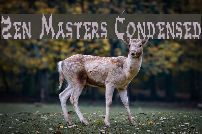 Zen Masters Condensed Font examples