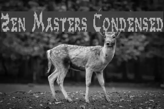 Zen Masters Condensed Polices examples