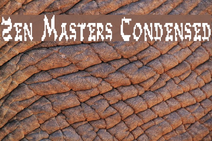 Zen Masters Condensed Font examples