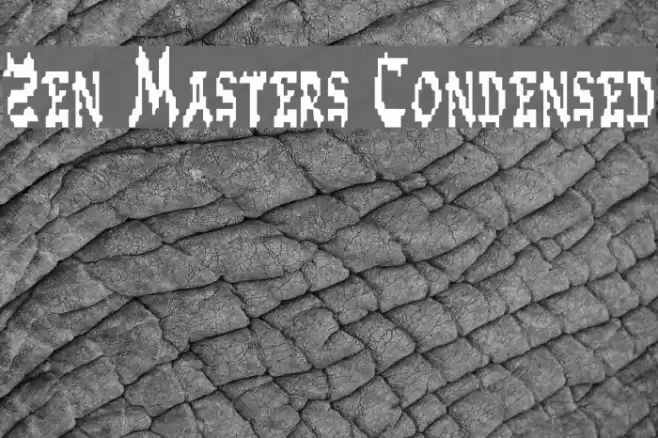 Zen Masters Condensed Polices examples