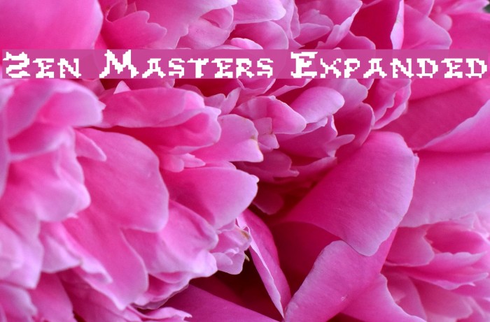 Zen Masters Expanded Font examples