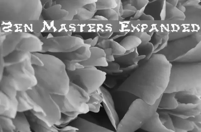 Zen Masters Expanded Polices examples