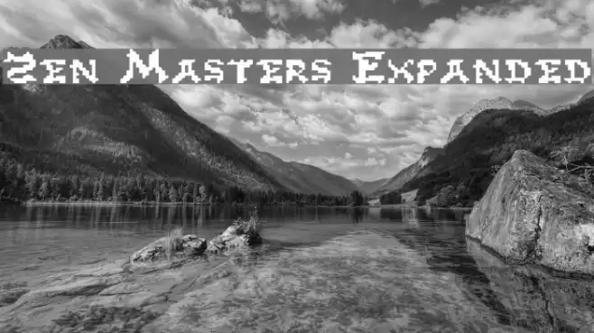 Zen Masters Expanded Polices examples