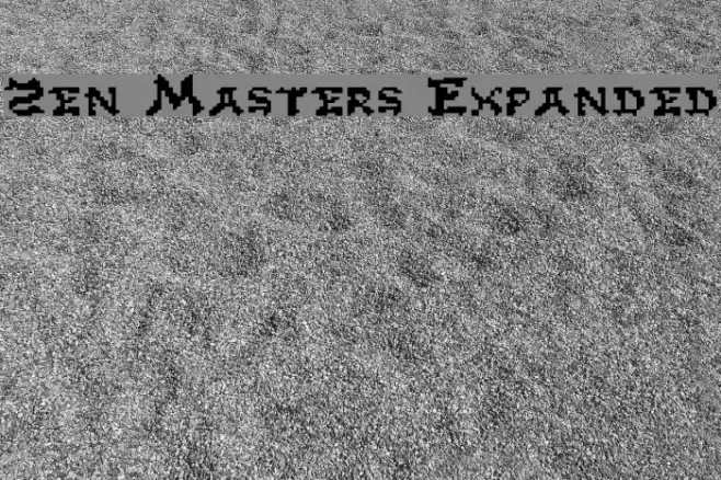 Zen Masters Expanded Polices examples