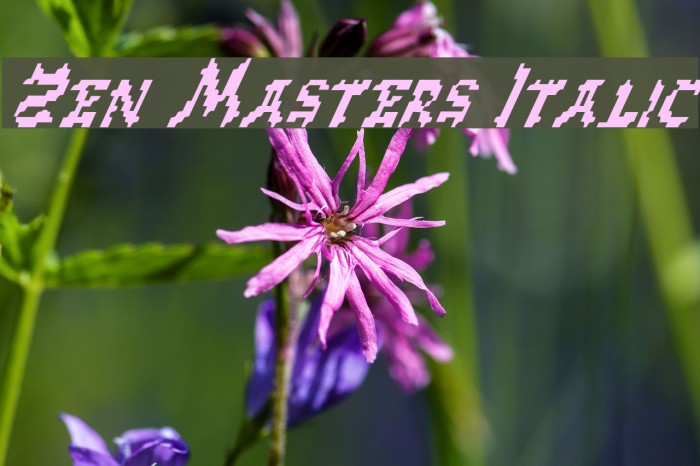 Zen Masters Italic Font examples