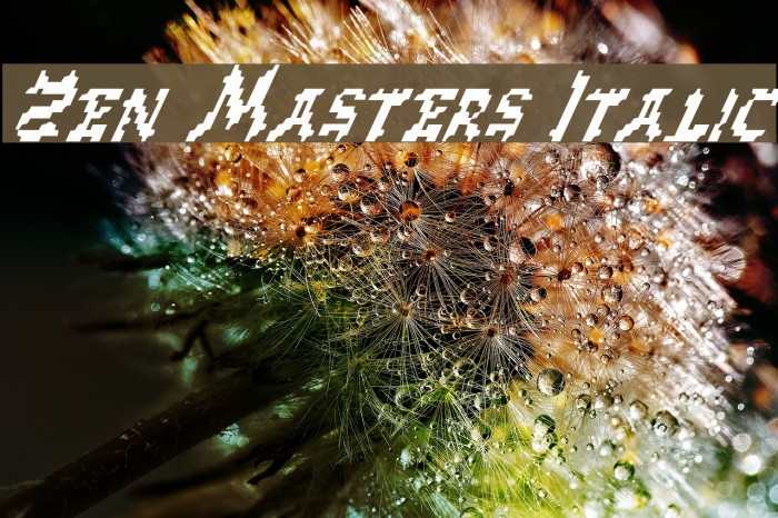 Zen Masters Italic Font examples