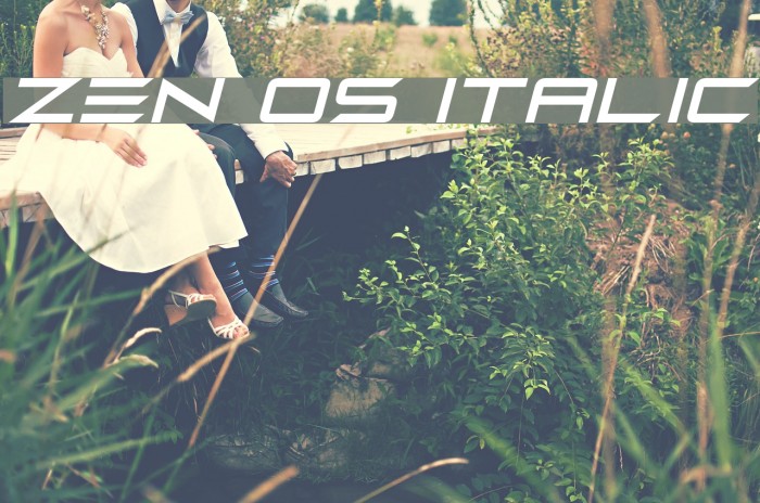 Zen Os Italic Font examples