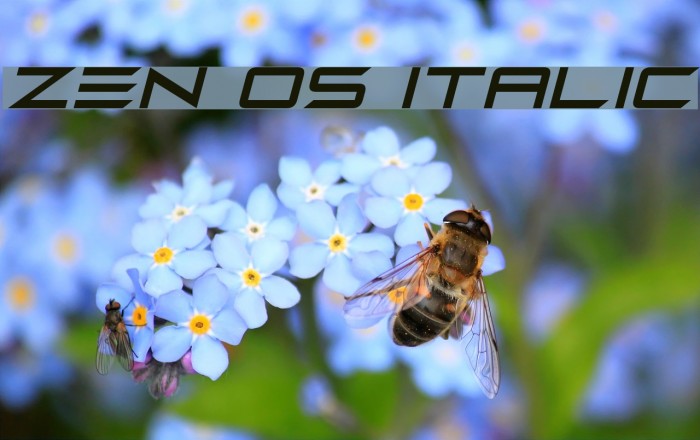 Zen Os Italic Font examples