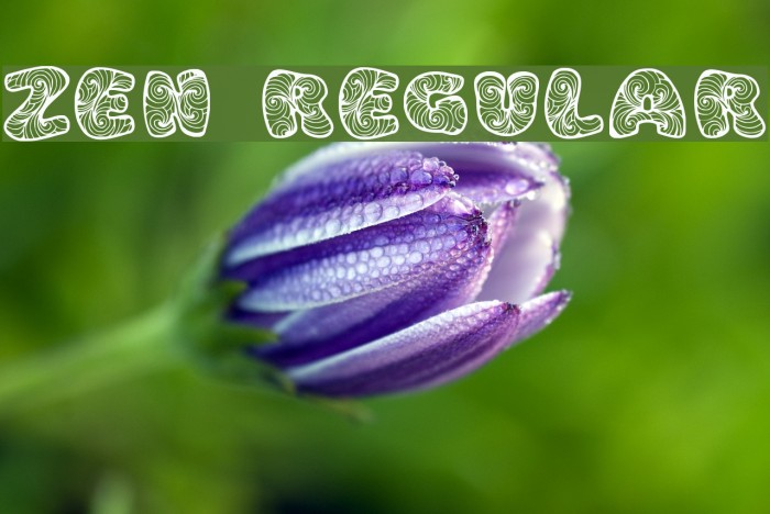 Zen3 Regular Font examples