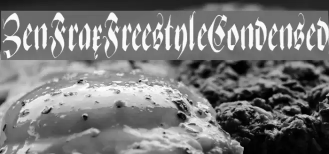 ZenFraxFreestyleCondensed フォント examples