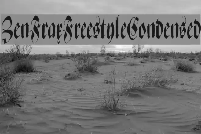 ZenFraxFreestyleCondensed フォント examples