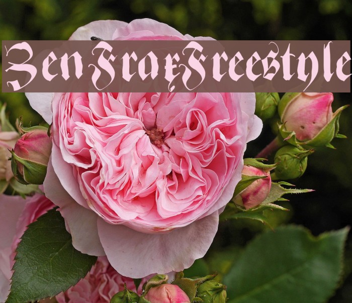 ZenFraxFreestyle Font examples
