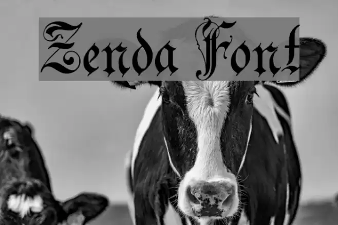 Zenda Font examples