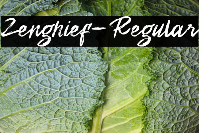 Zenghief-Regular Example 2