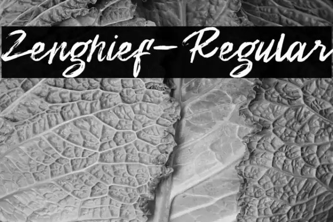 Zenghief-Regular Font examples