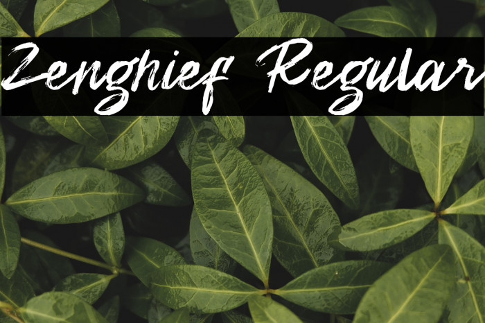 Zenghief Regular Example 1