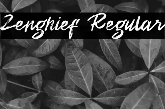 Zenghief Regular Font examples
