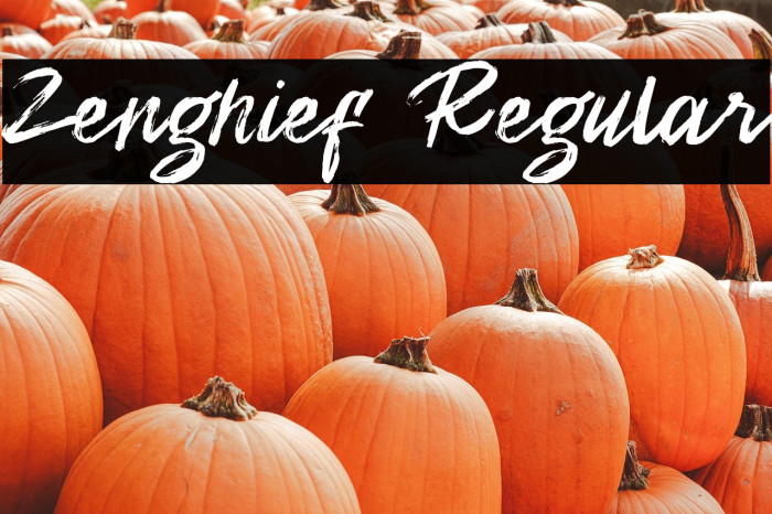 Zenghief Regular Example 2