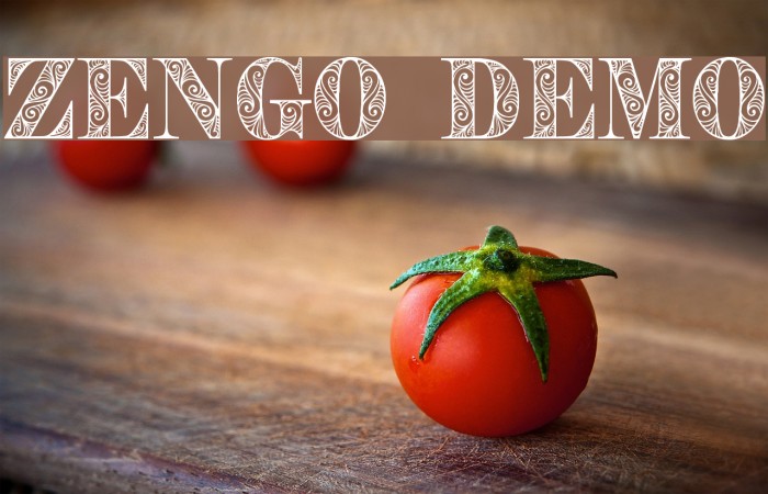 Zengo Demo Font examples