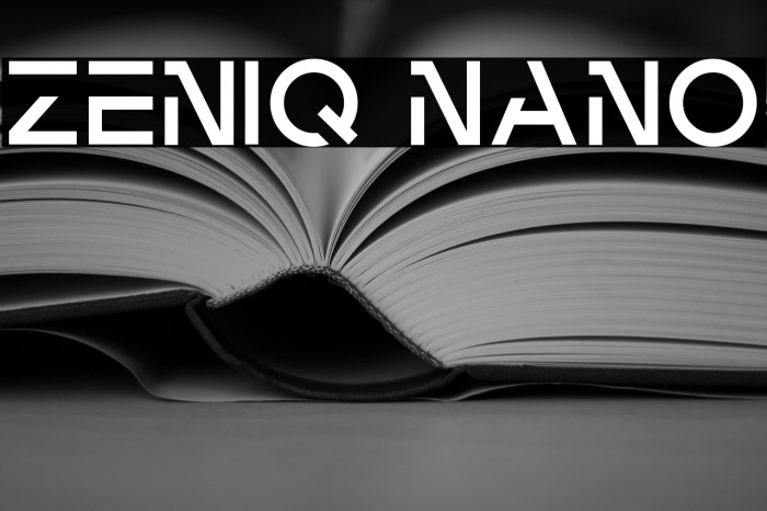 Zeniq Nano Example 3