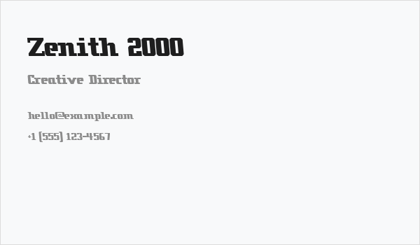 Zenith 2000 Business Card