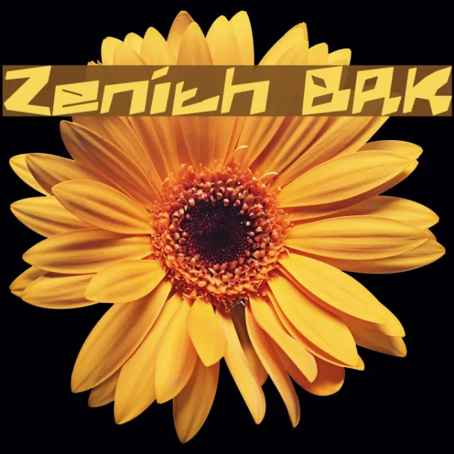 Zenith BRK Example 1