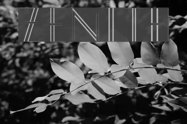 Zenith Font examples