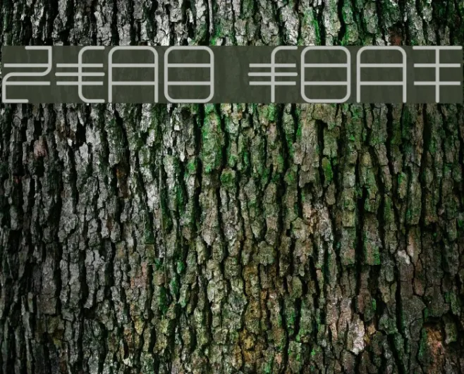 Zeno Example 3