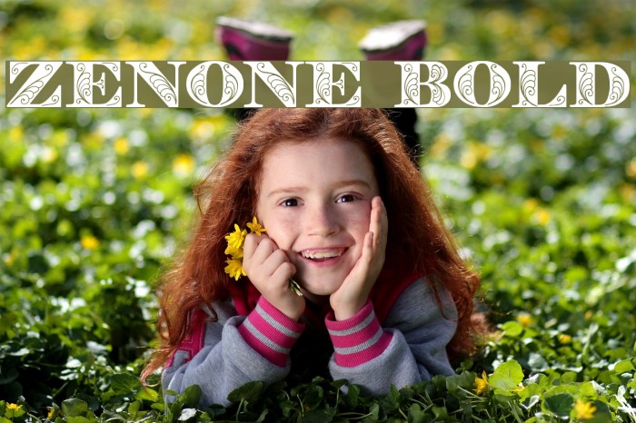 Zenone Bold Font examples