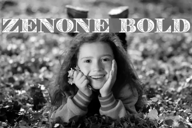 Zenone Bold Schriftart examples
