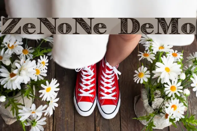 Zenone Demo Example 1