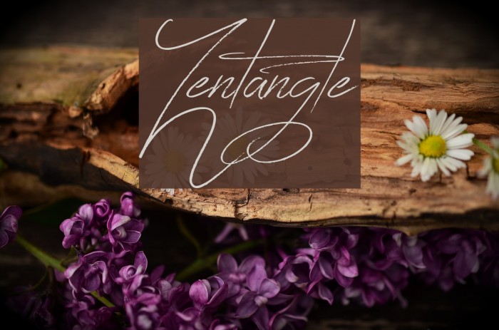 Zentangle Font examples