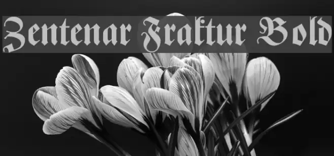 Zentenar Fraktur Bold Font examples