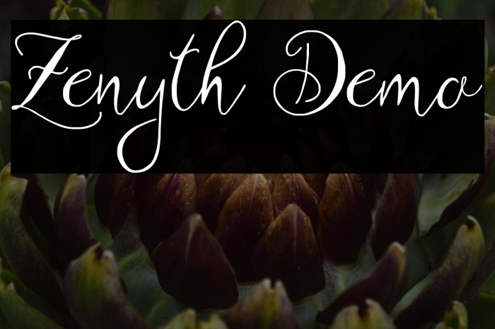 Zenyth Demo Example 3