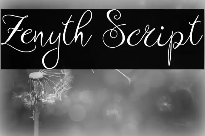 Zenyth Script Schriftart examples