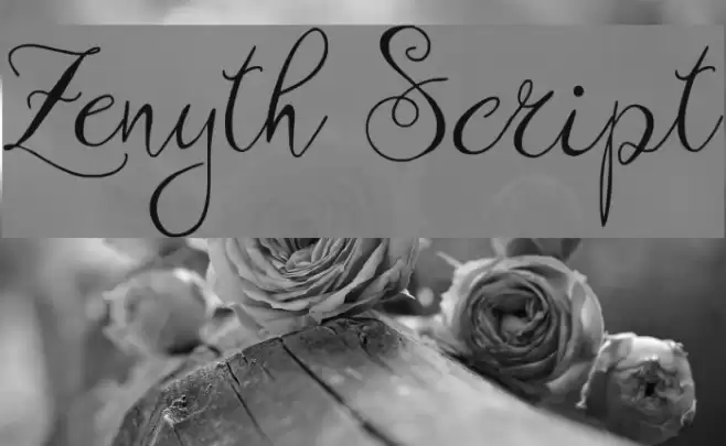 Zenyth Script Font examples