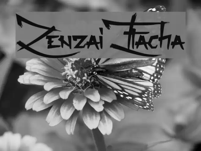 Zenzai Itacha Font examples