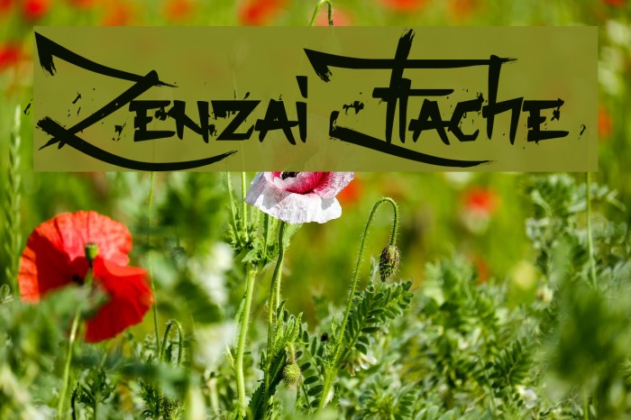 Zenzai Itache Font examples