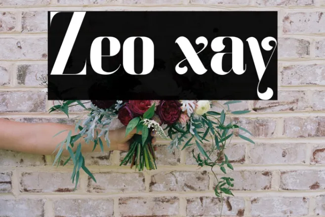 Zeo xay Example 1
