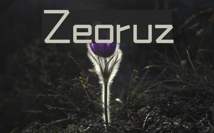Zeoruz Font examples
